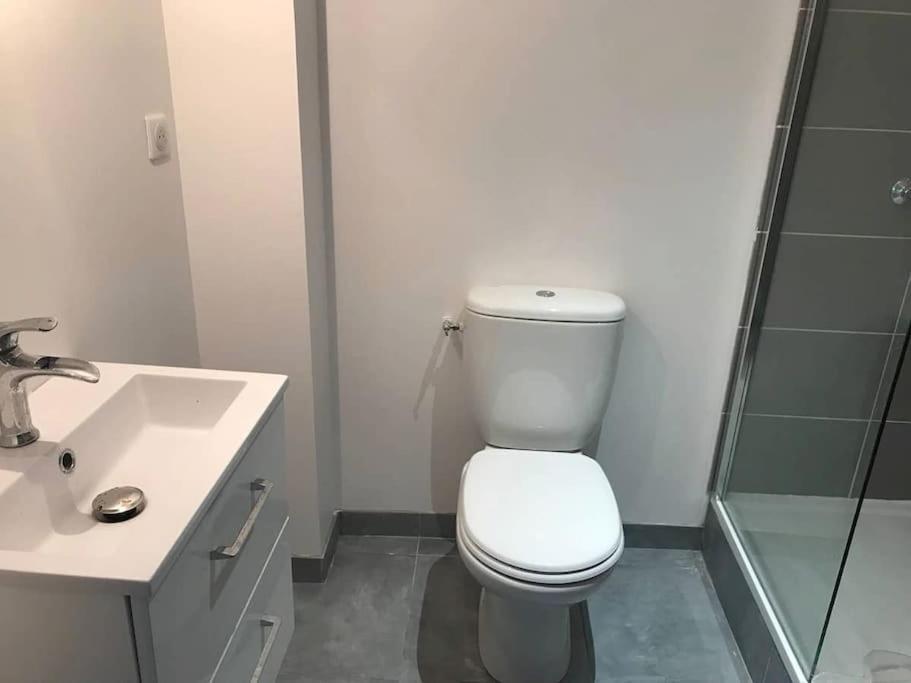 Appartement 10 Pers Face Gare Sncf Appart Hotel Le Cygne A Bourges Eksteriør bilde